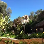 L'olivastro A Porto Cervo
