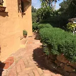 L'olivastro 1 Porto Cervo