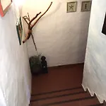 L'olivastro 1 Porto Cervo