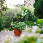 L'olivastro A Сasa de vacaciones *