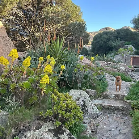 Vakantiehuis L'olivastro A Porto Cervo