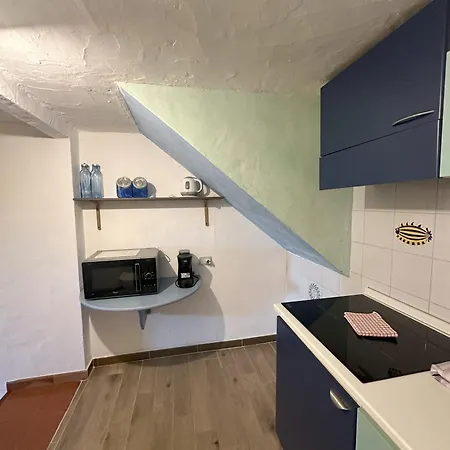 L'olivastro A Porto Cervo