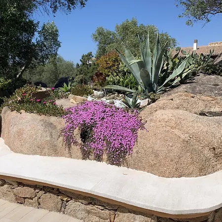 Vakantiehuis L'olivastro A Porto Cervo