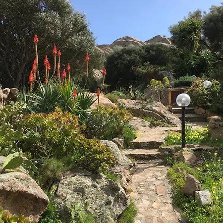 L'olivastro A * Porto Cervo