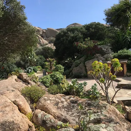 L'olivastro A Vakantiehuis