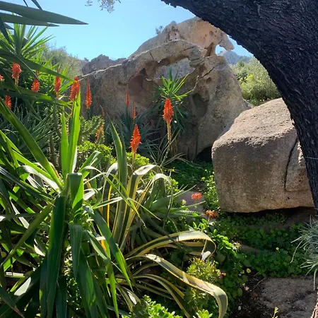 L'olivastro A Vakantiehuis