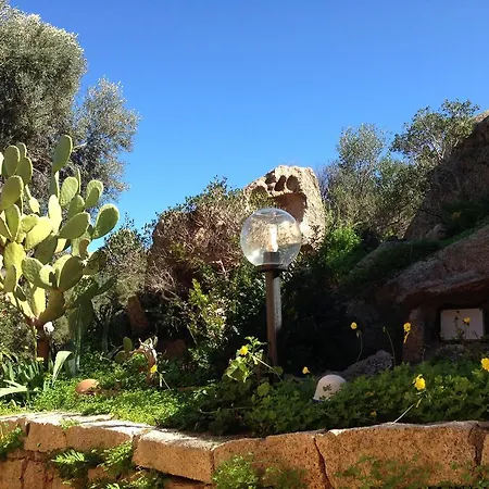 L'olivastro A Porto Cervo