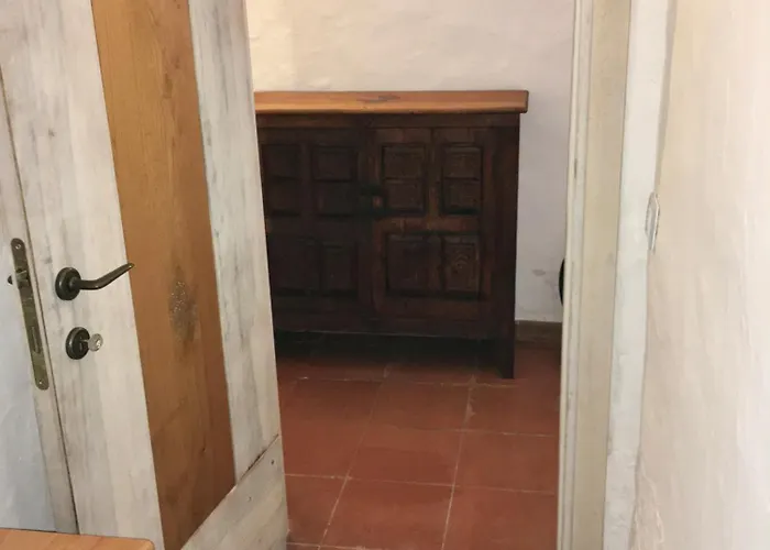 Tatil Evi L'olivastro 1