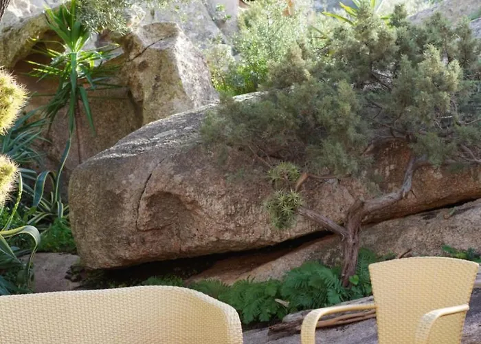 L'olivastro 1 Tatil Evi Porto Cervo