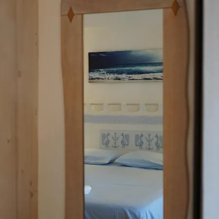 L'olivastro A Porto Cervo
